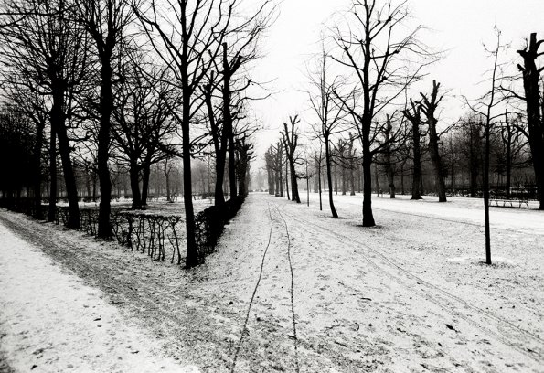 Schonbrunn Palace Park (ii), Vienna 1992