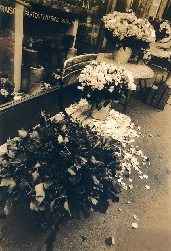 Flower Shop, Montmartre, Paris